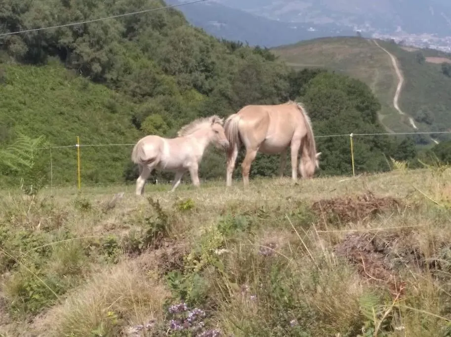 Hébergement de vacances Gite La Grangette De Pauline Mercus-Garrabet France